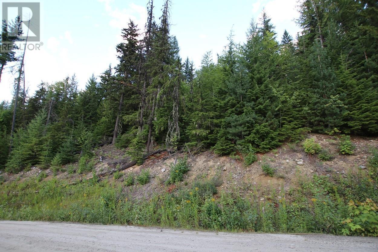 5621 Highway 23, Nakusp, BC