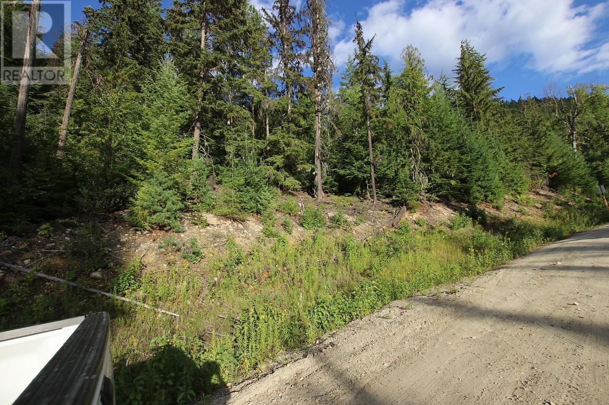 5621 Highway 23, Nakusp, BC