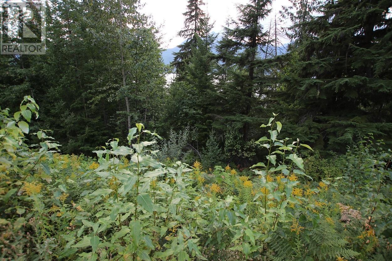5621 Highway 23, Nakusp, BC