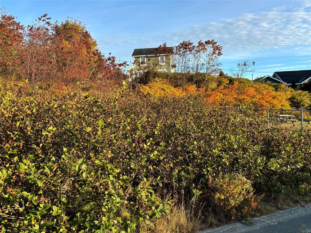 61 Badcock Boulevard, Bay Roberts, NL