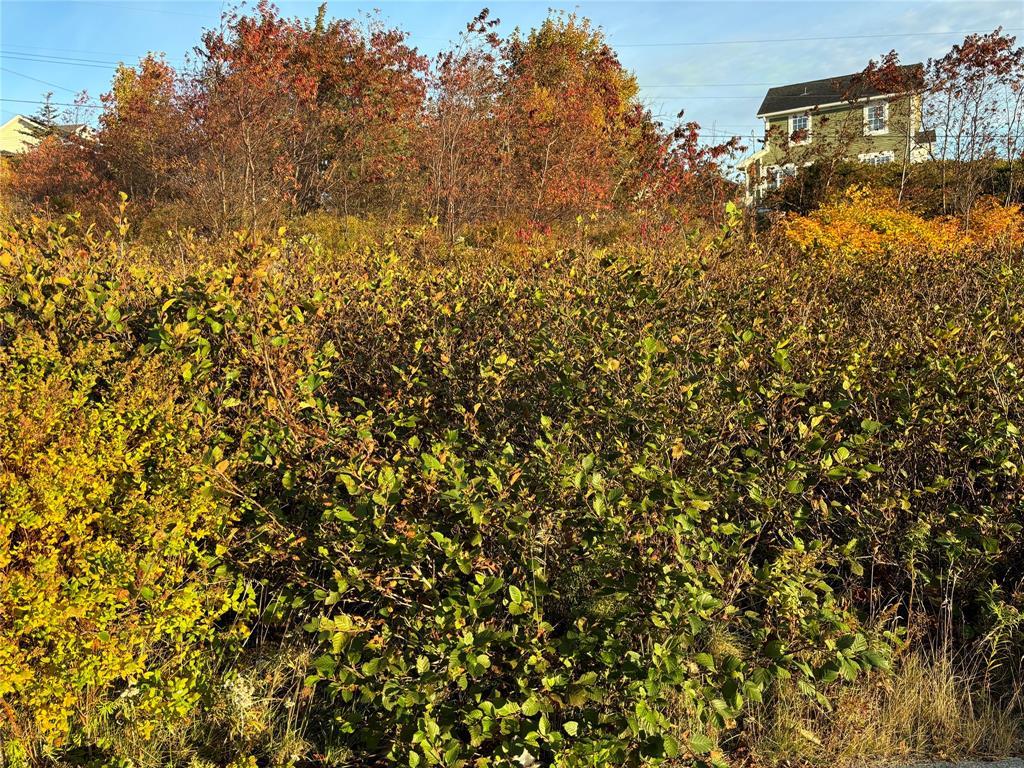 61 Badcock Boulevard, Bay Roberts, NL