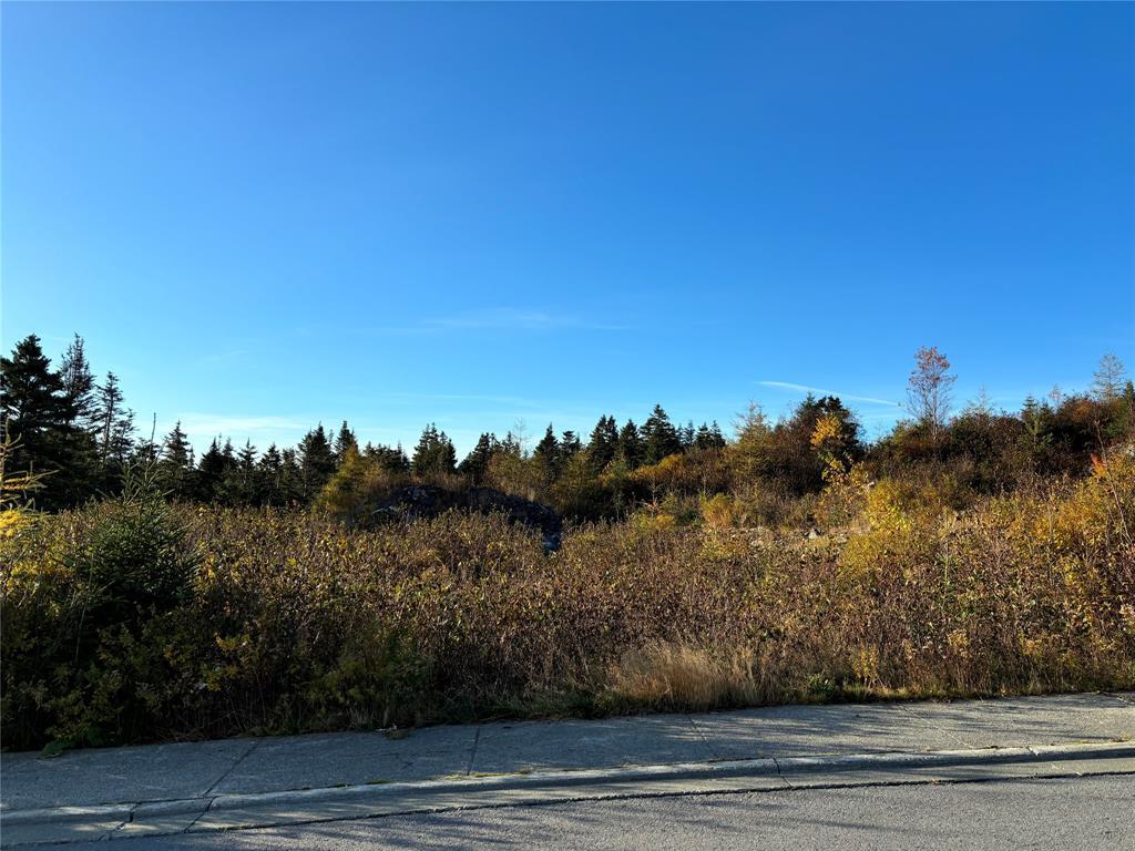 68 Badcock Boulevard, Bay Roberts, NL