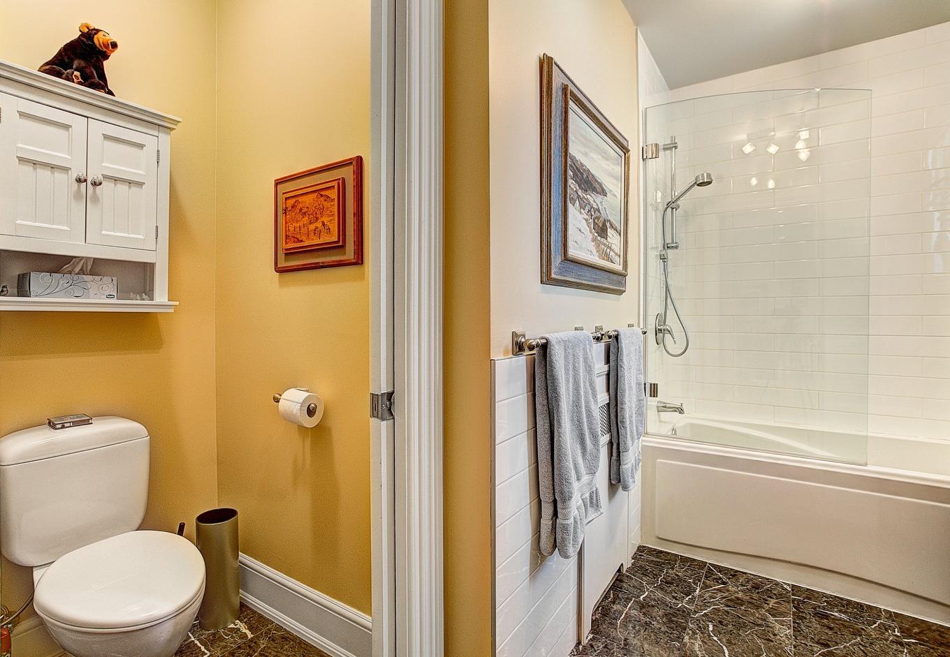 Bathroom - 3-51 Av. Roosevelt, Mont-Royal, QC - Indoor Photo Showing Bathroom