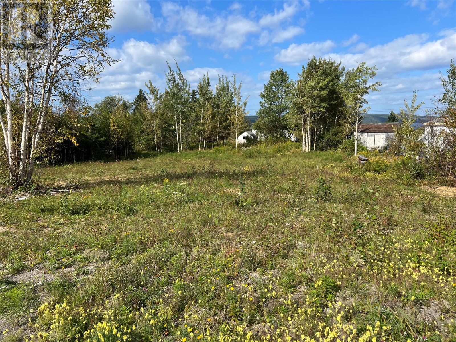 1 Hopkins Road, South Brook, NL