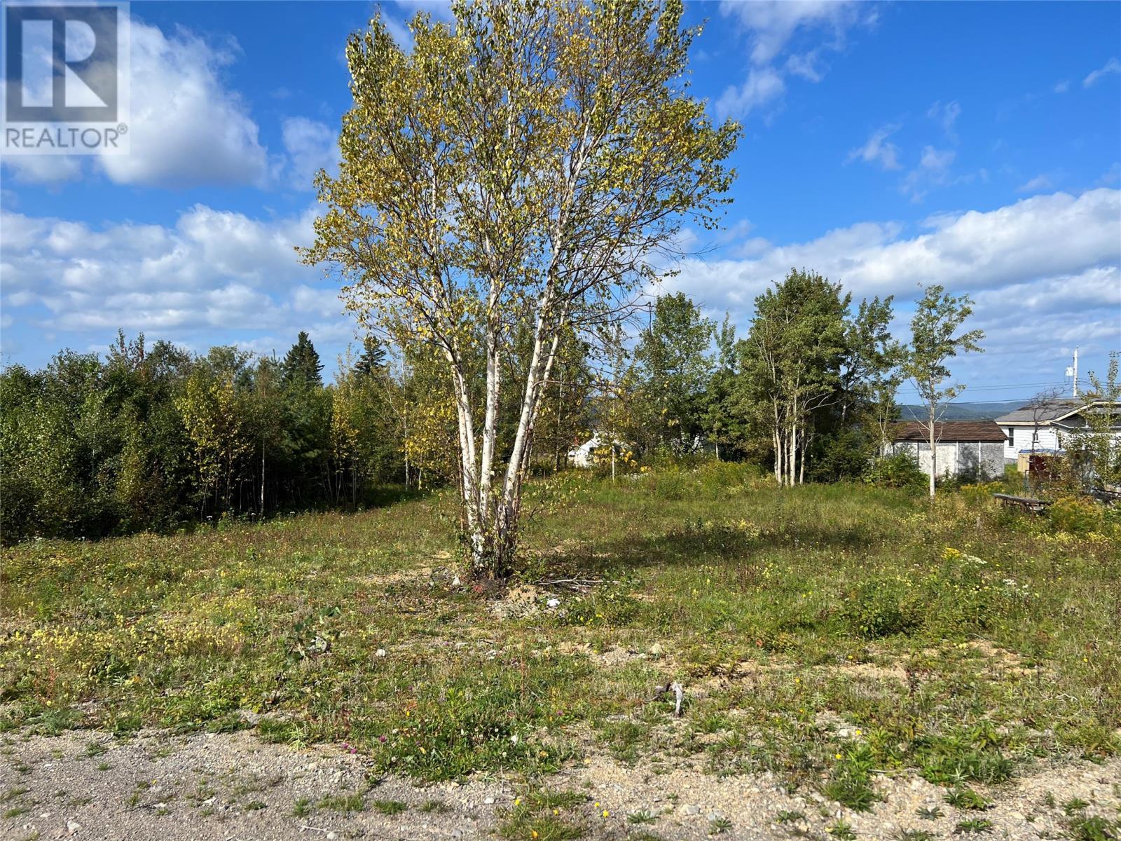 1 Hopkins Road, South Brook, NL