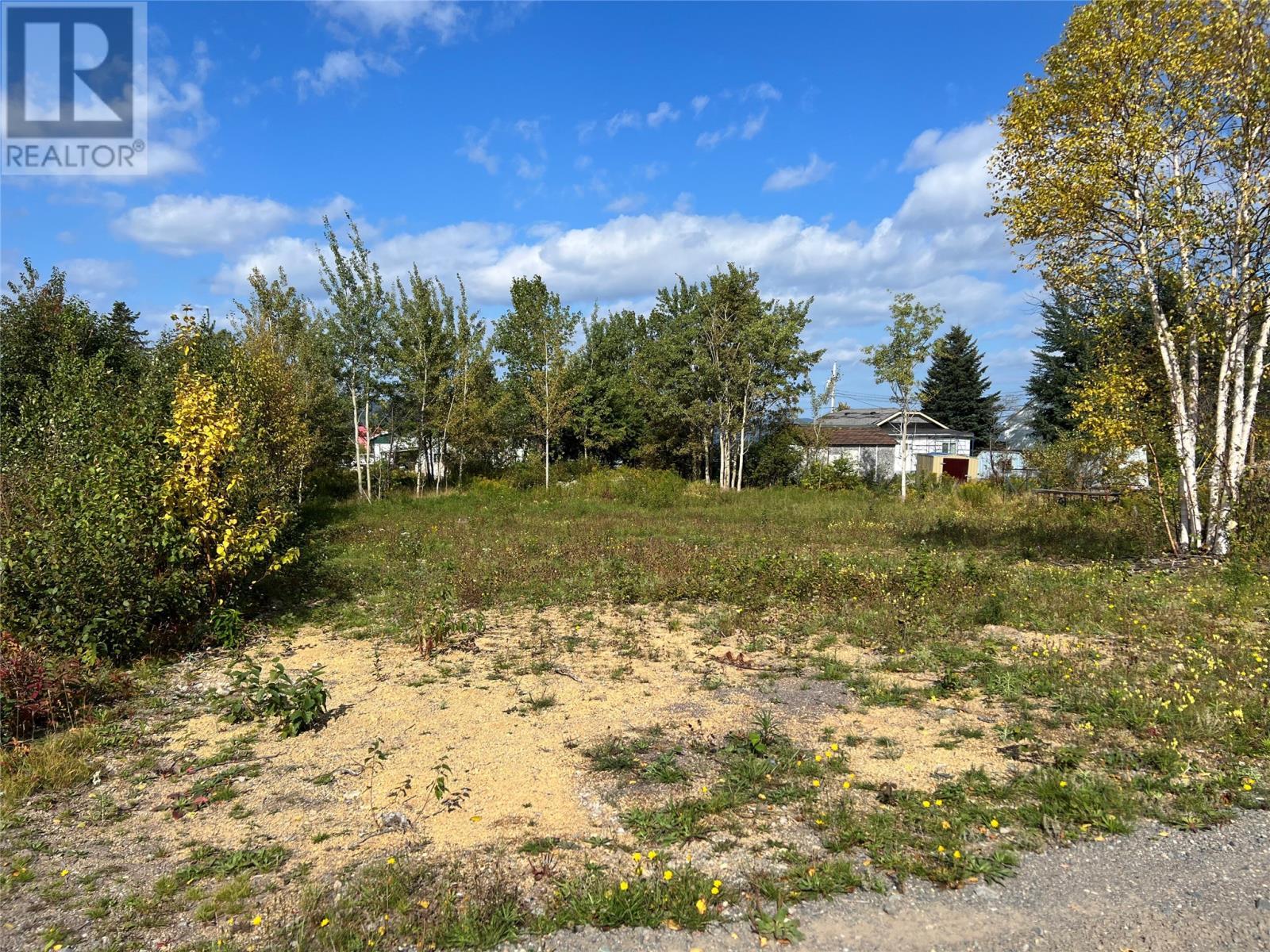 1 Hopkins Road, South Brook, NL
