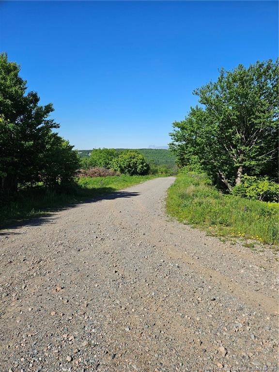 - Dolly Dr, Saint John, NB