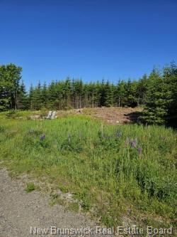 - Dolly Dr, Saint John, NB