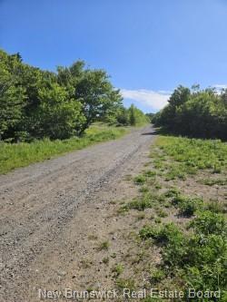 - Dolly Dr, Saint John, NB