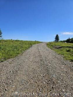 - Dolly Dr, Saint John, NB