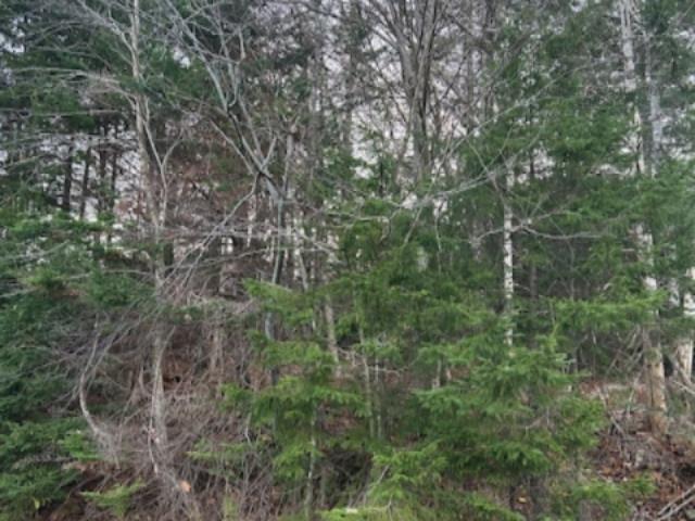 Lot 32 Lakeview Avenue, Middle Sackville, NS