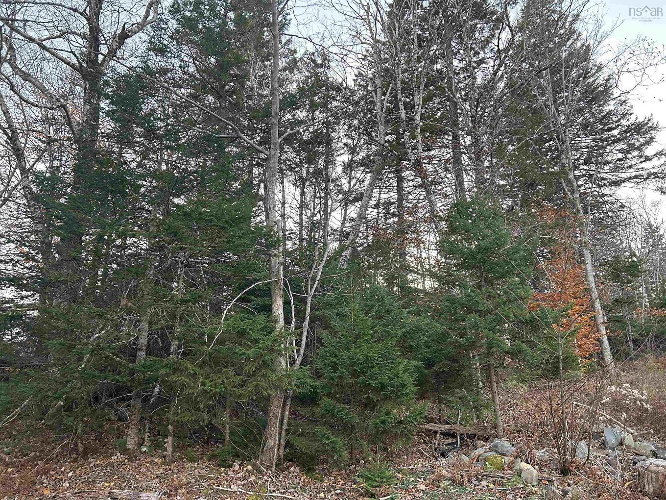 Lot 32 Lakeview Avenue, Middle Sackville, NS