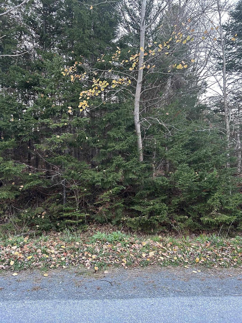 Lot 32 Lakeview Avenue, Middle Sackville, NS