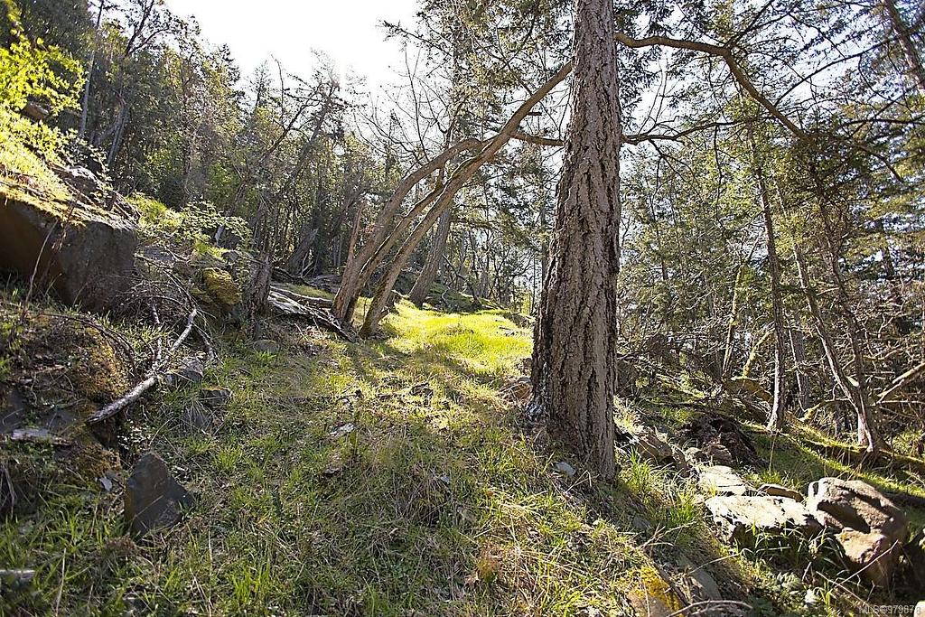 206 Narrows West Rd, Salt Spring, BC