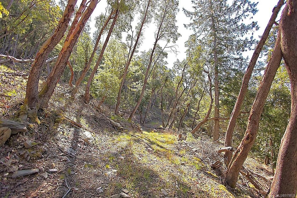 206 Narrows West Rd, Salt Spring, BC