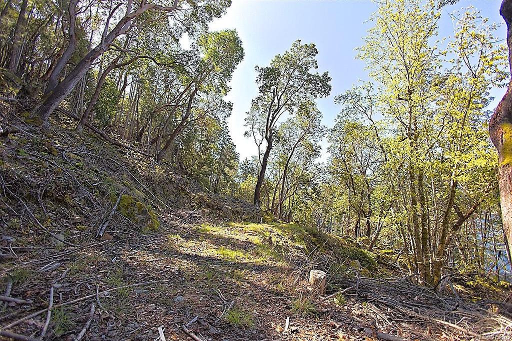 206 Narrows West Rd, Salt Spring, BC