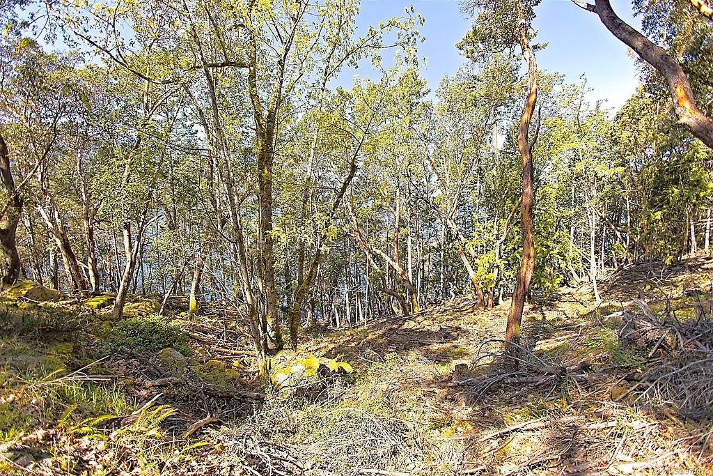 206 Narrows West Rd, Salt Spring, BC