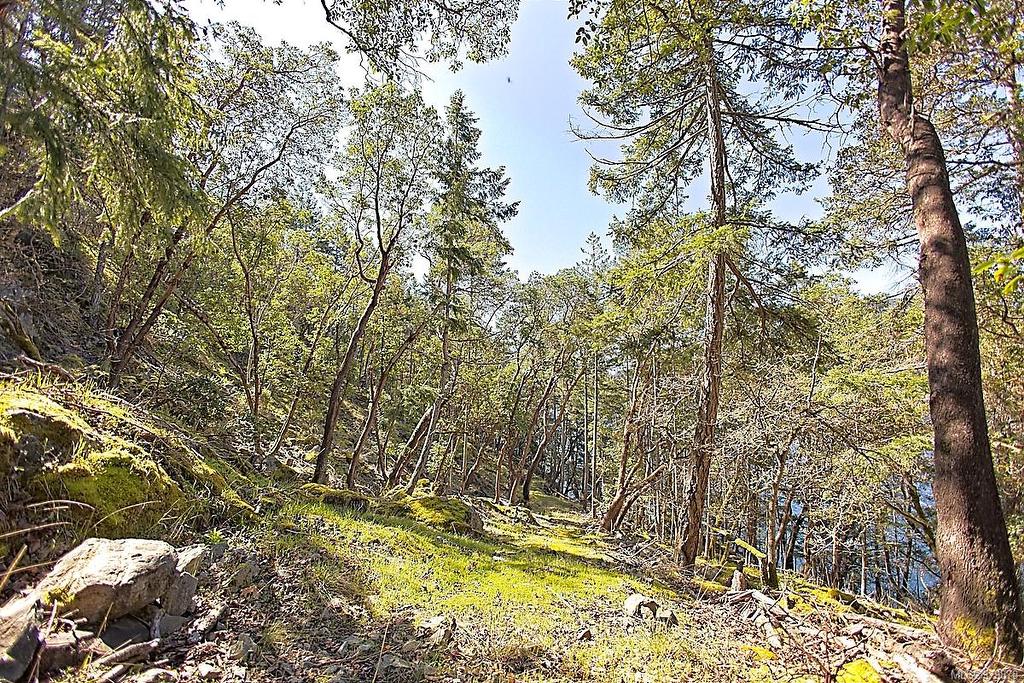 206 Narrows West Rd, Salt Spring, BC