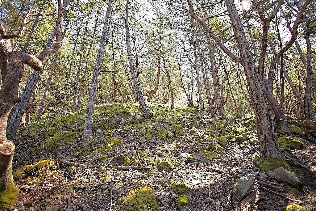 206 Narrows West Rd, Salt Spring, BC