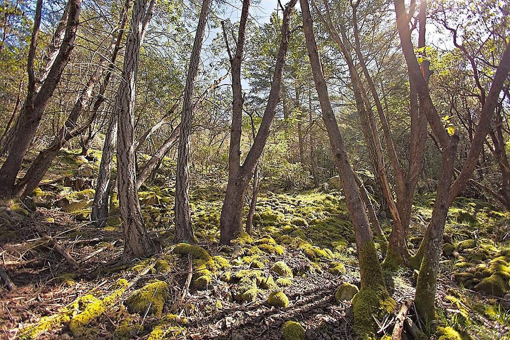 206 Narrows West Rd, Salt Spring, BC