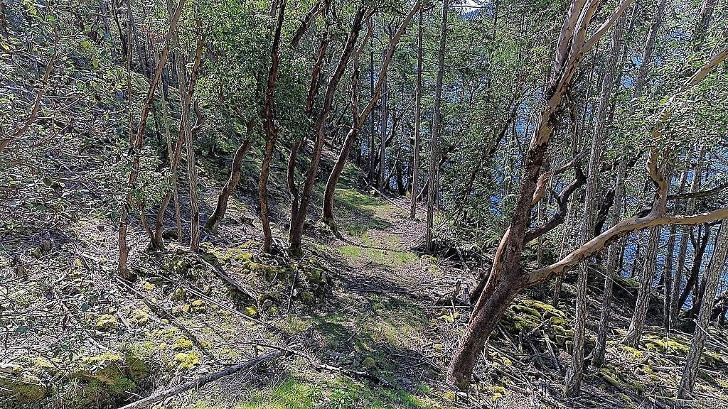 206 Narrows West Rd, Salt Spring, BC