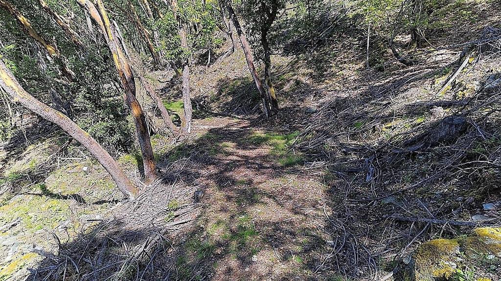 206 Narrows West Rd, Salt Spring, BC