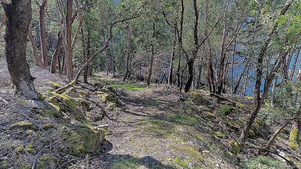 206 Narrows West Rd, Salt Spring, BC