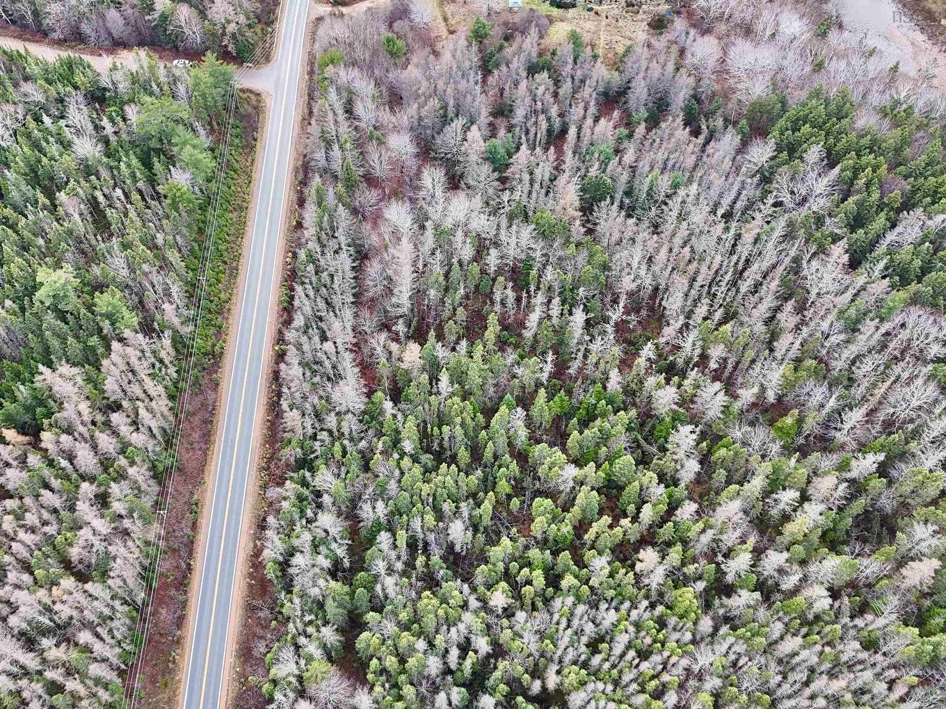 0 Cabot Trail Rd., North East Margaree, NS