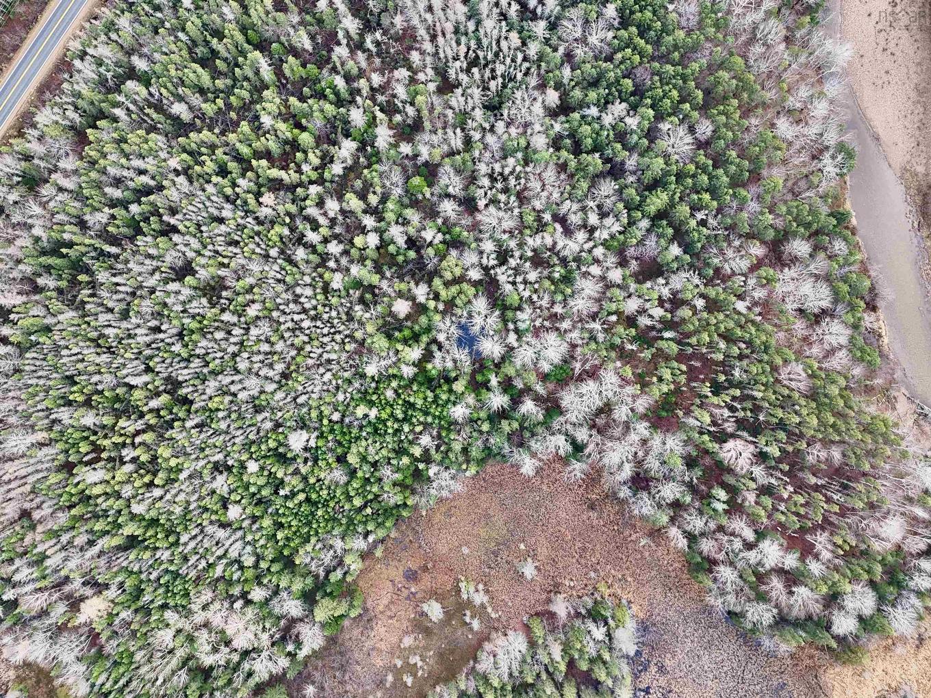 0 Cabot Trail Rd., North East Margaree, NS