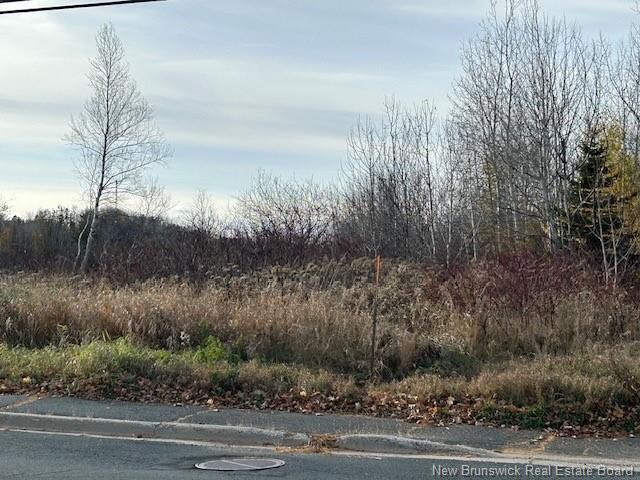 874 Riverside Dr, Bathurst, NB