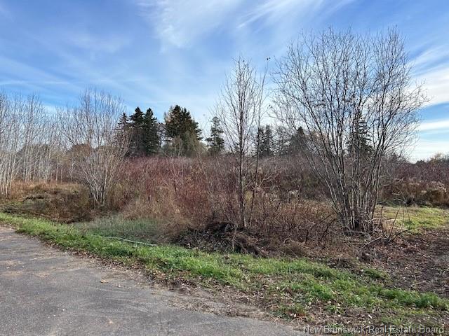 874 Riverside Dr, Bathurst, NB