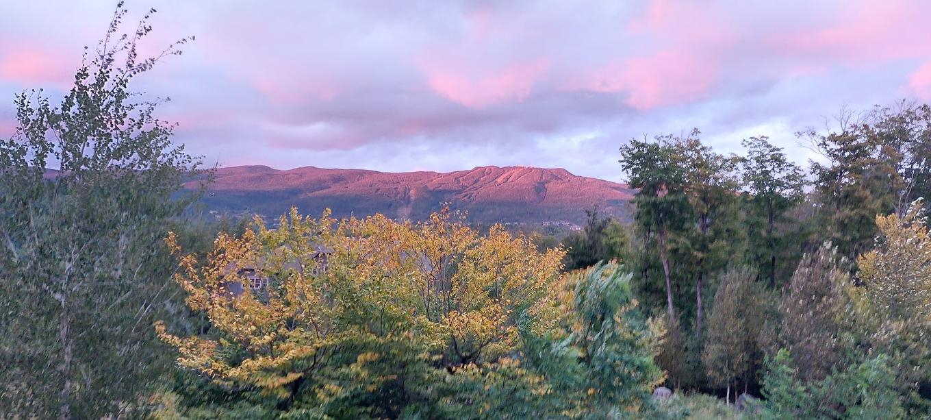 View - 4-280 Rue Du Mont-Plaisant, Mont-Tremblant, QC - Outdoor With View