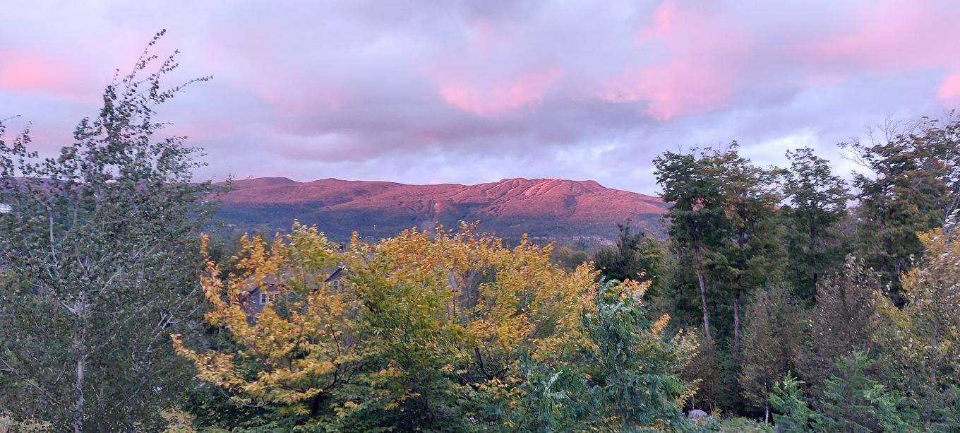 View - 4-280 Rue Du Mont-Plaisant, Mont-Tremblant, QC - Outdoor With View