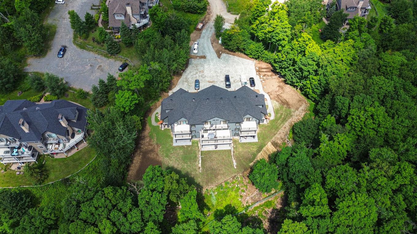 View - 4-280 Rue Du Mont-Plaisant, Mont-Tremblant, QC - Outdoor With View