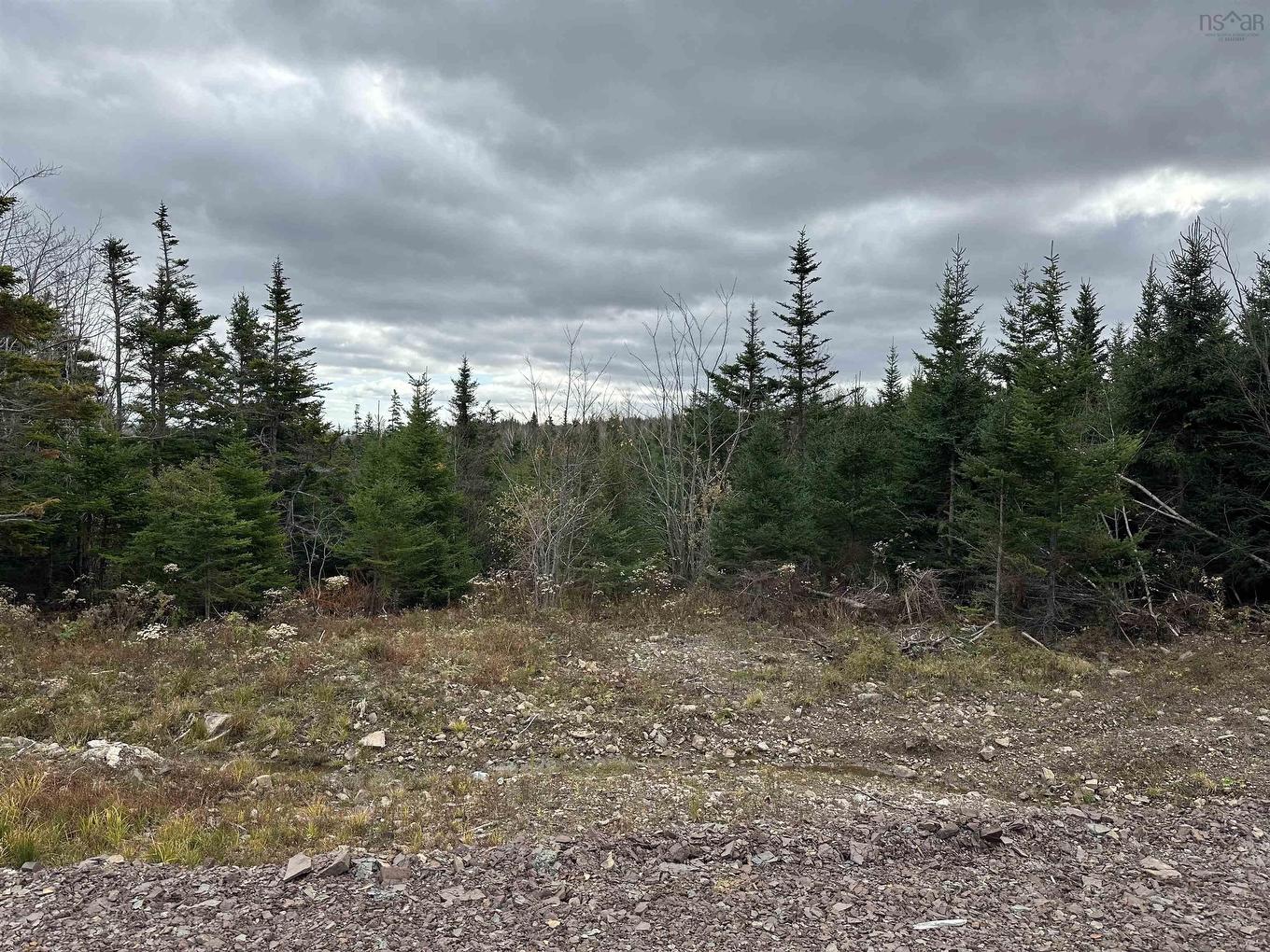 23-2 Dan Josie Lane, East Havre Boucher, NS