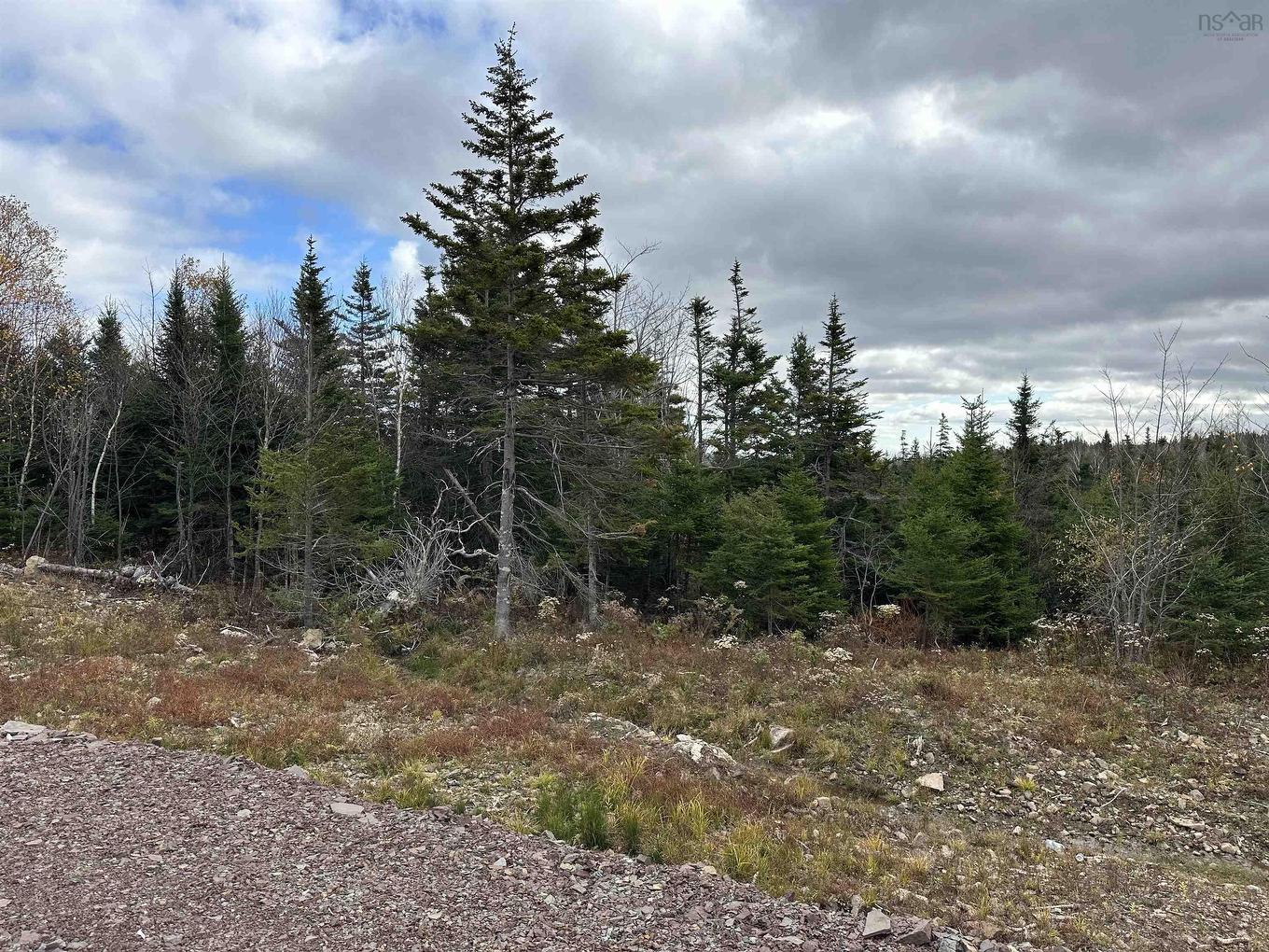 23-2 Dan Josie Lane, East Havre Boucher, NS