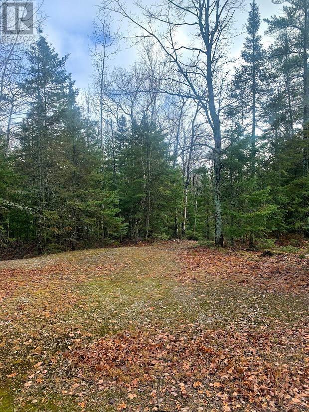 185 Baker Trail, Spring Bay, ON