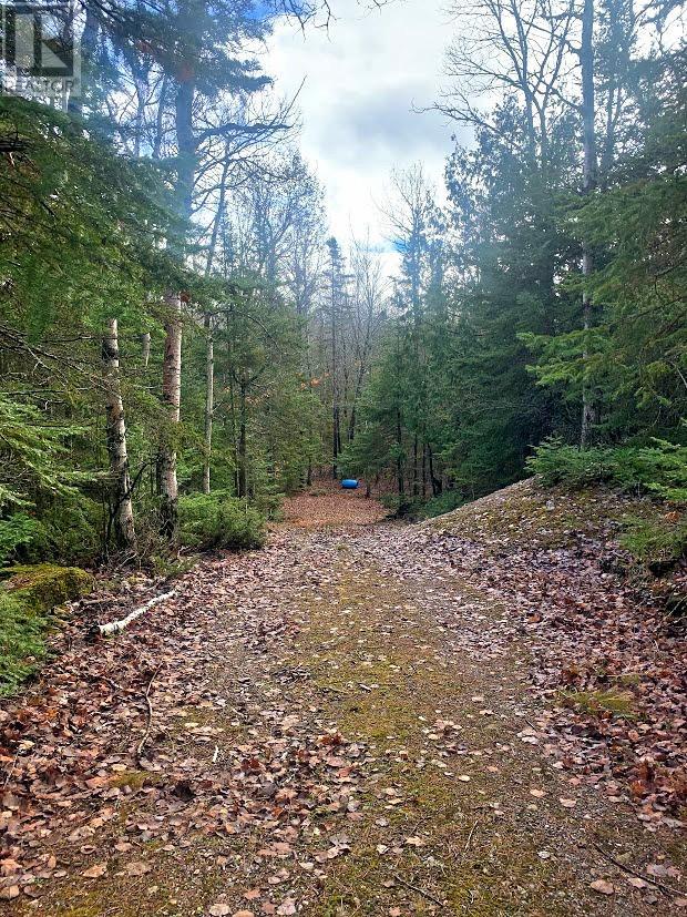 185 Baker Trail, Spring Bay, ON