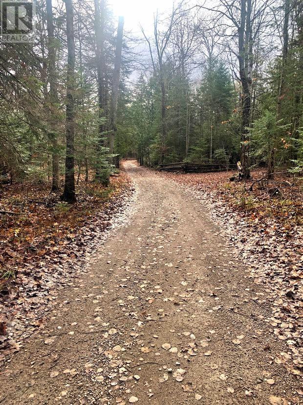 185 Baker Trail, Spring Bay, ON