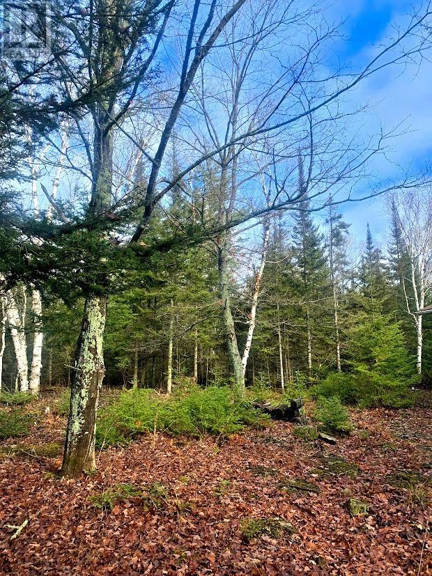 185 Baker Trail, Spring Bay, ON