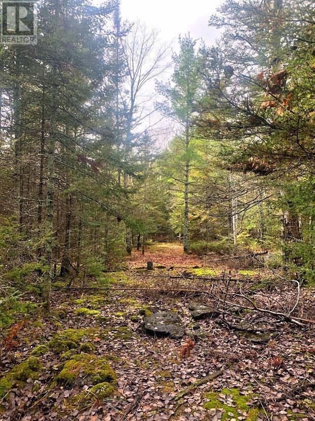 185 Baker Trail, Spring Bay, ON