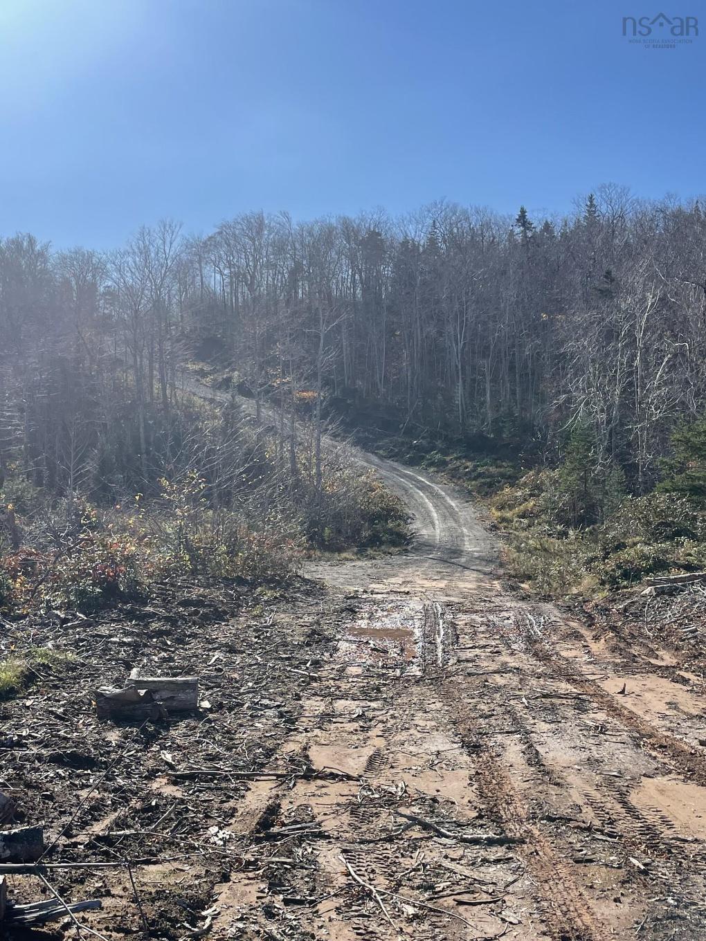 Lot River Denys Road, River Denys, NS