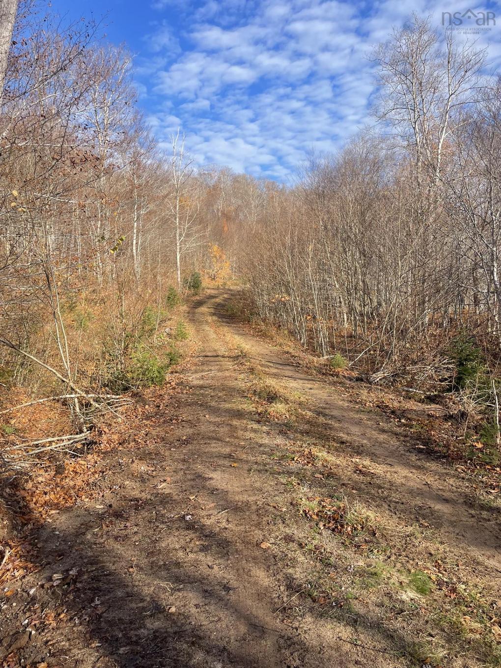 Lot River Denys Road, River Denys, NS