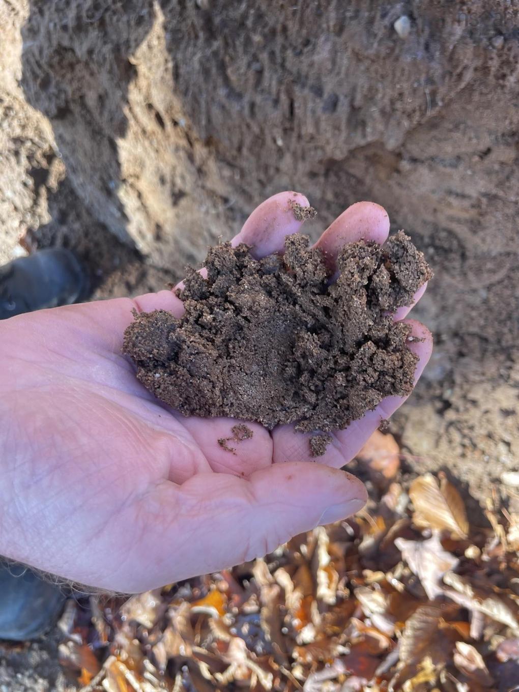 Lot River Denys Road, River Denys, NS