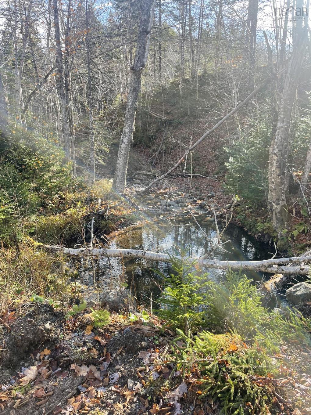 Lot River Denys Road, River Denys, NS