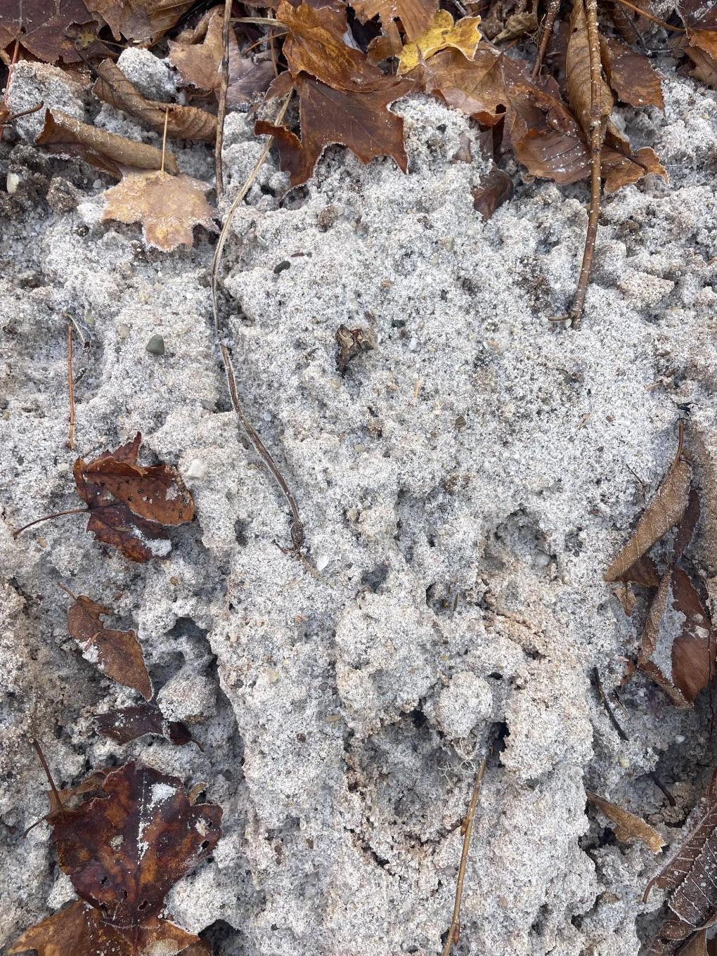 Lot River Denys Road, River Denys, NS