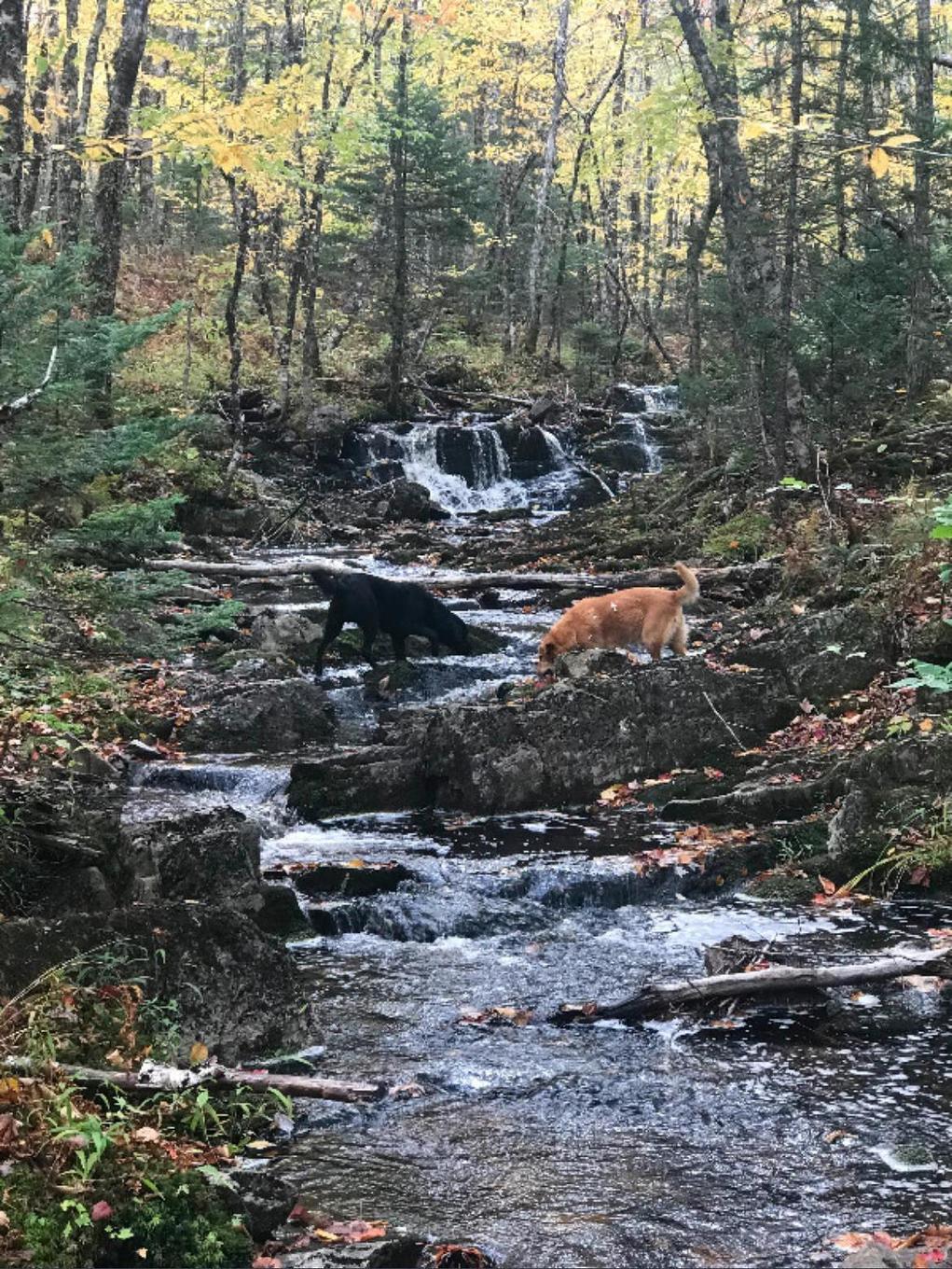 Lot 13-4 Lead Mines Road, Glenelg, NS