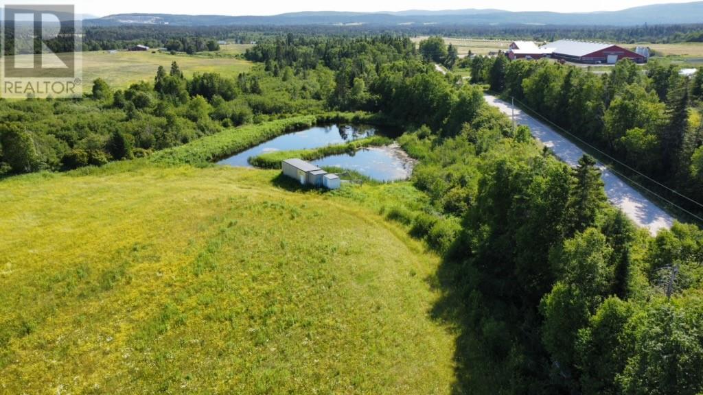 24-36 Tamarack Drive, Cormack, NL