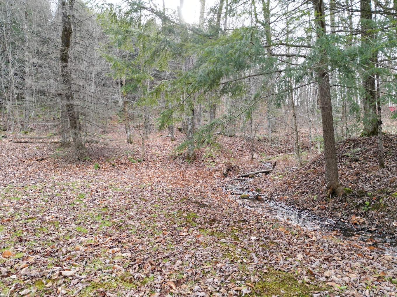 Land/Lot - 4 Ch. M.-Cousineau, Val-Des-Monts, QC