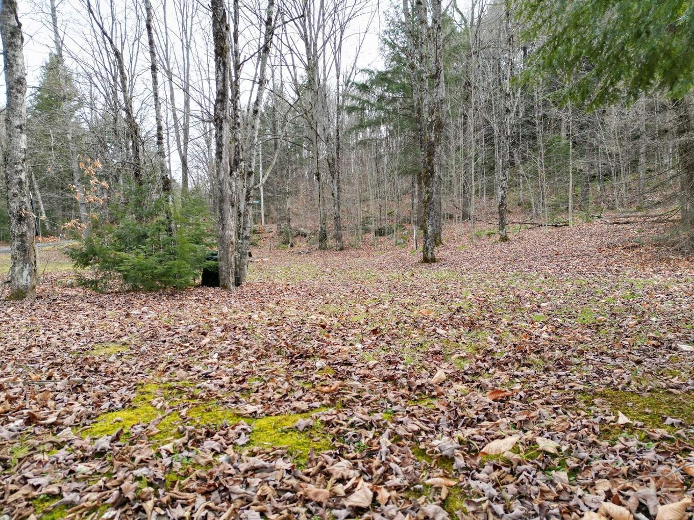 Land/Lot - 4 Ch. M.-Cousineau, Val-Des-Monts, QC